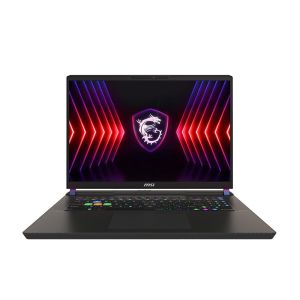 MSI Vector 17 HX A14VHG Gaming Notebook Cosmos Grey (9S7-17S162-611)