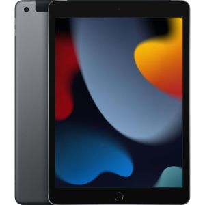 Apple iPad 4G LTE 256 GB 25.9 cm (10.2") Wi-Fi 5 (802.11ac) iPadOS 15 Grey MK4E3B/A