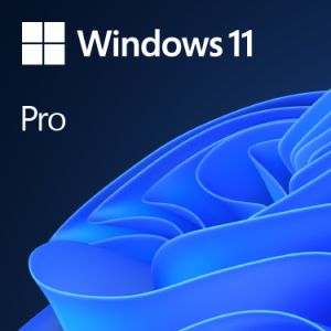 Windows 11 Pro - For Business | English International 1 pack - OEI DVD ((FQC-10528) 